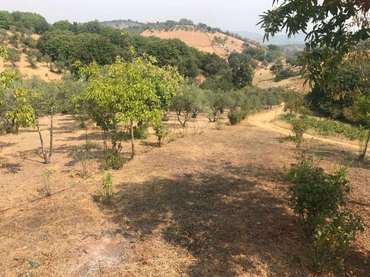 Casa Rural En Constantina Buitenkant foto